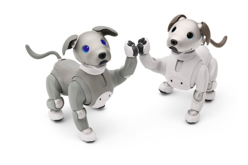 Sony aibo - Best Robot Personal Assistants